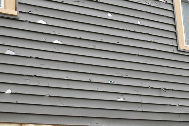 Best Engineered Wood Siding  in Pompton Plains, NJ